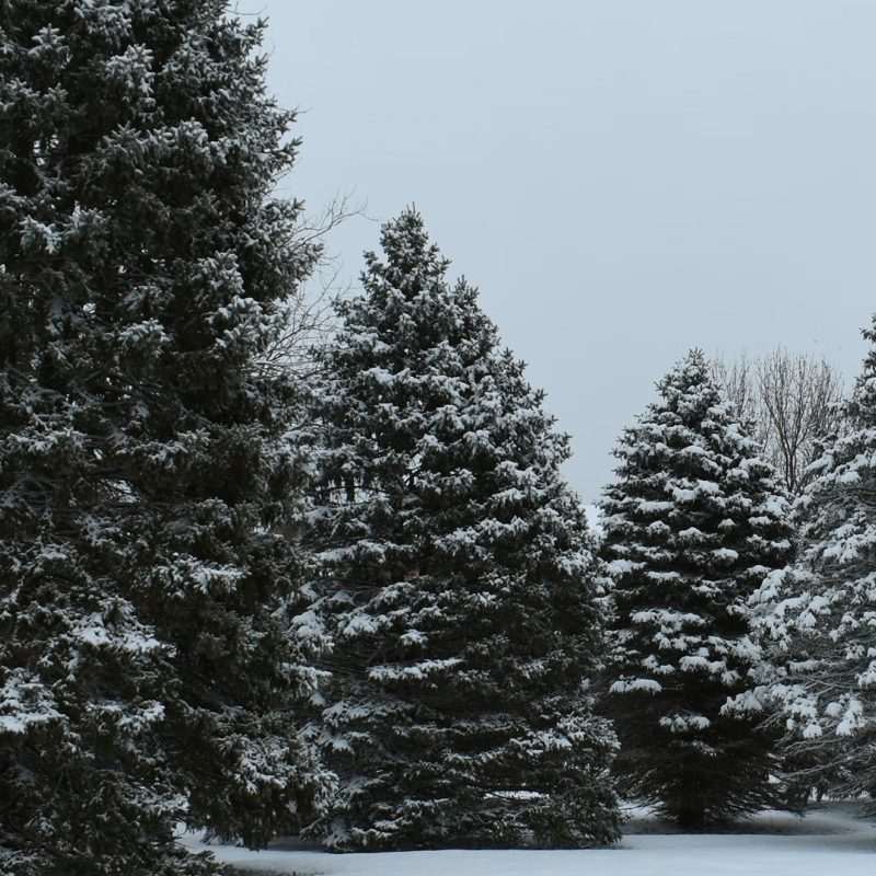 <b>100</b> Links secured in 8 weeks